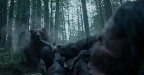 #TheRevenant : #BearAttack le plan séquence de l'année, la bande annonce, le documentaire #AWorldUnseen